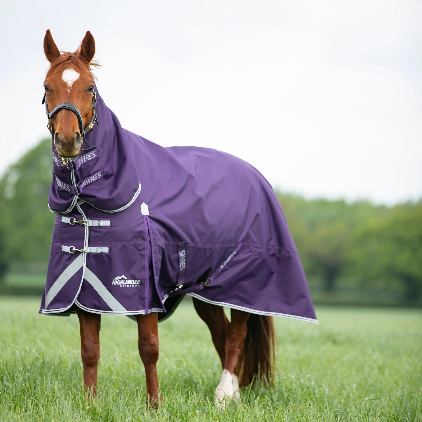 Shires Highlander Original 100 Combo Turnout Rug