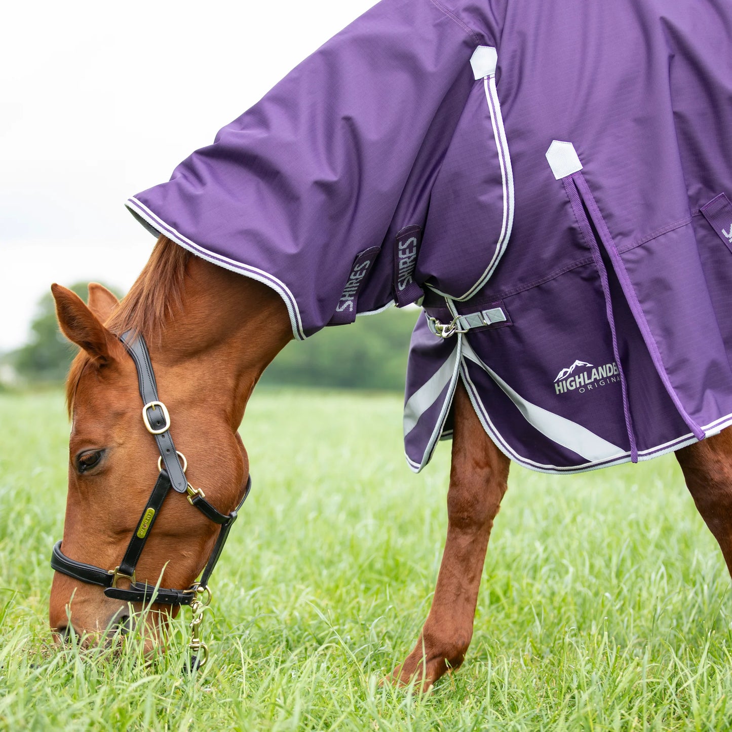 Shires Highlander Original 100 Combo Turnout Rug