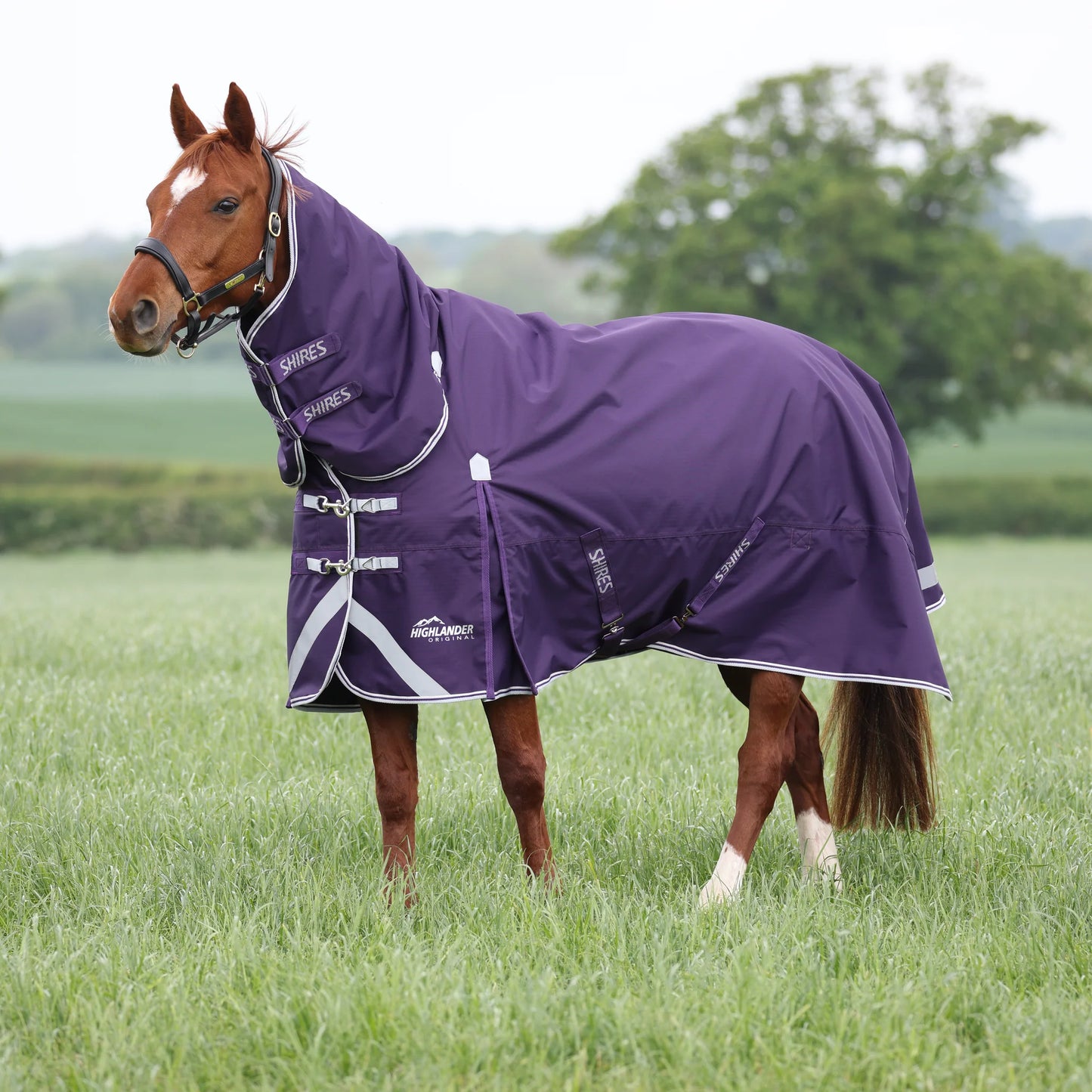 Shires Highlander Original 100 Combo Turnout Rug