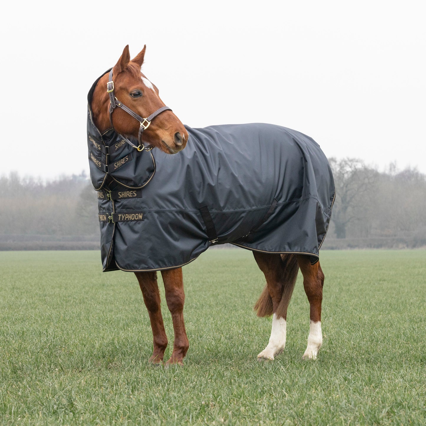 Shires Typhoon 50 Combo Turnout Rug - Waterproof Horse Turnout Rug