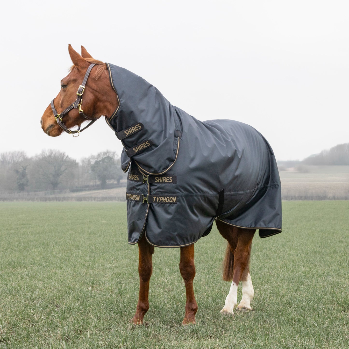 Shires Typhoon 50 Combo Turnout Rug - Waterproof Horse Turnout Rug
