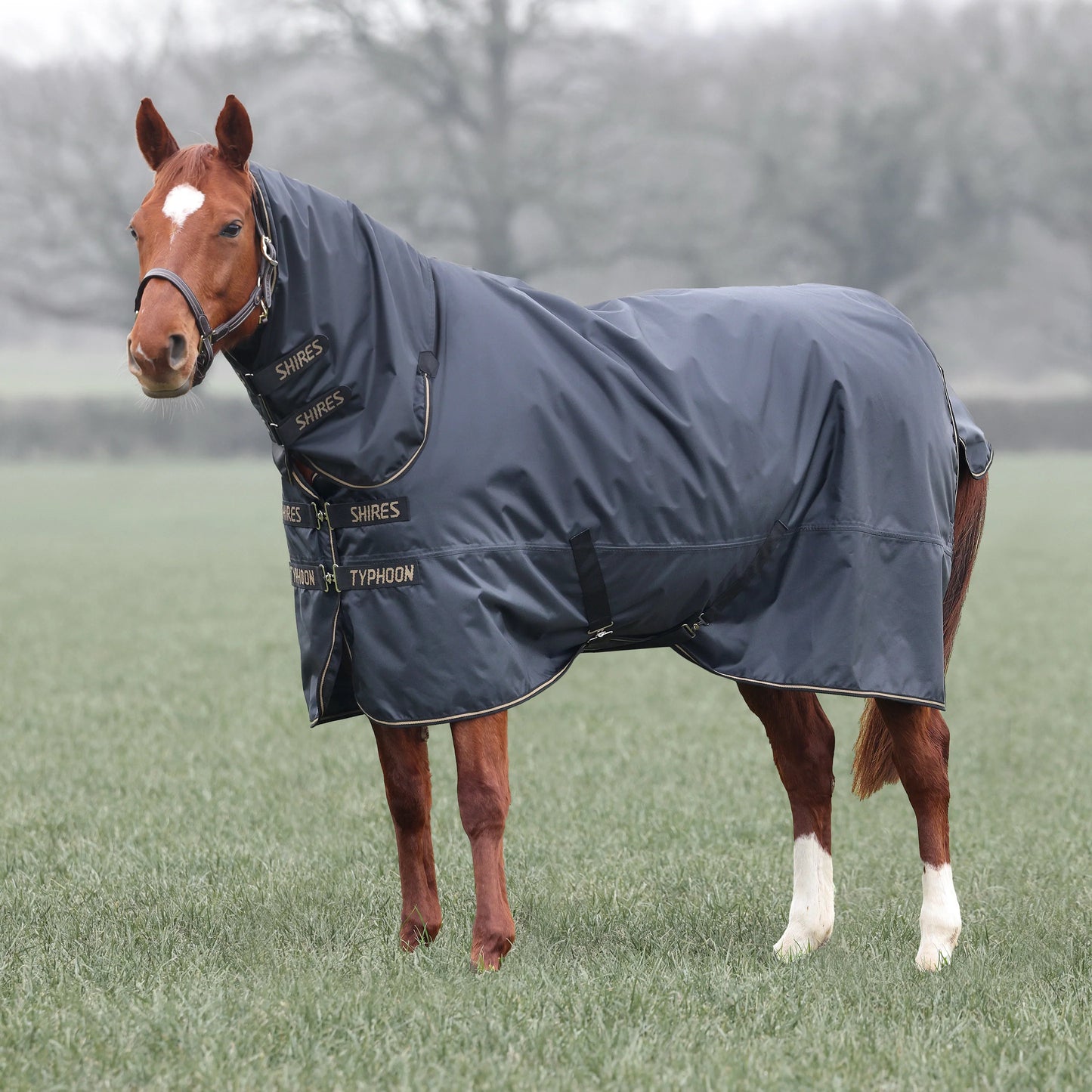 Shires Typhoon 50 Combo Turnout Rug - Waterproof Horse Turnout Rug