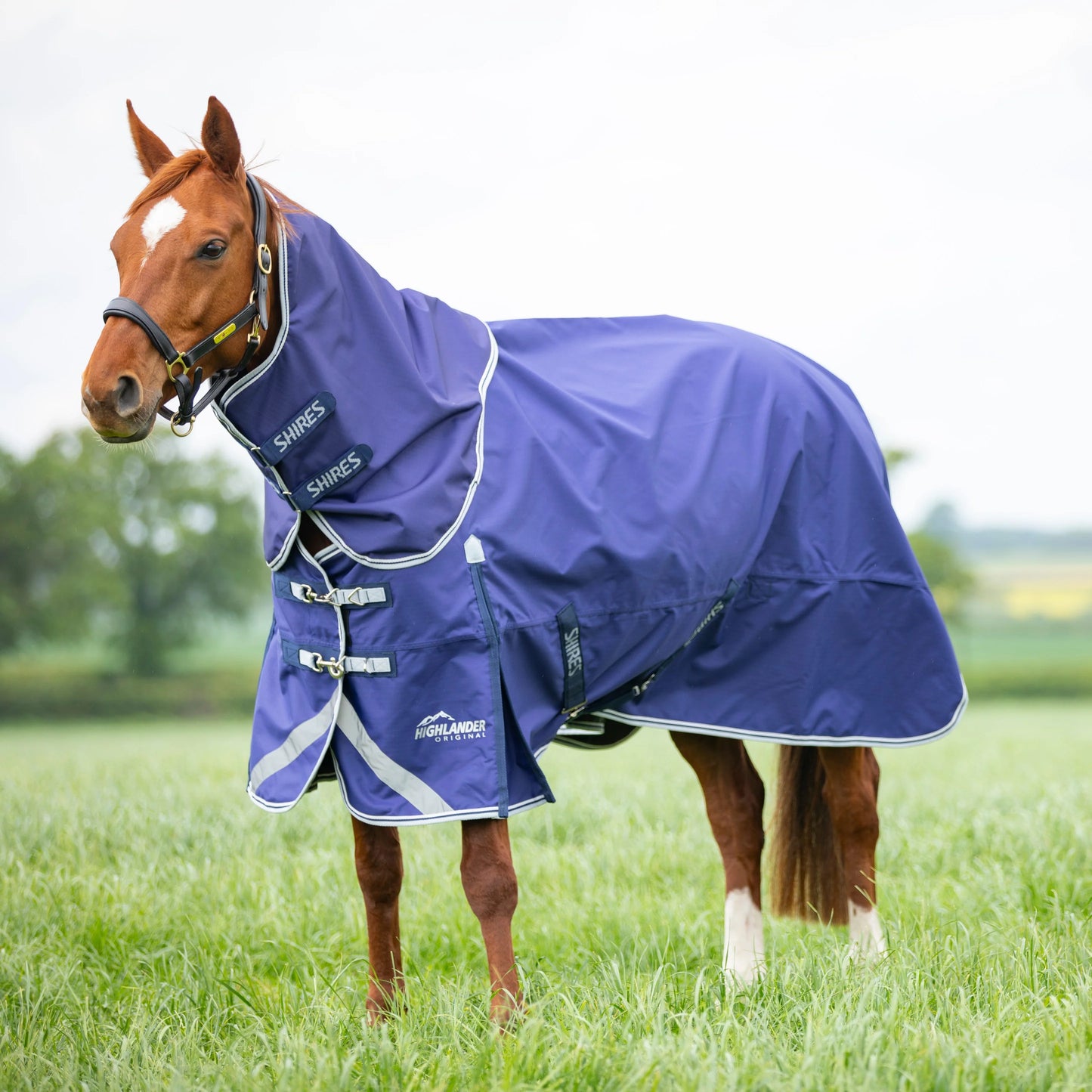 Shires Highlander Original Lite Rug & Neck Set - Navy Turnout Rug