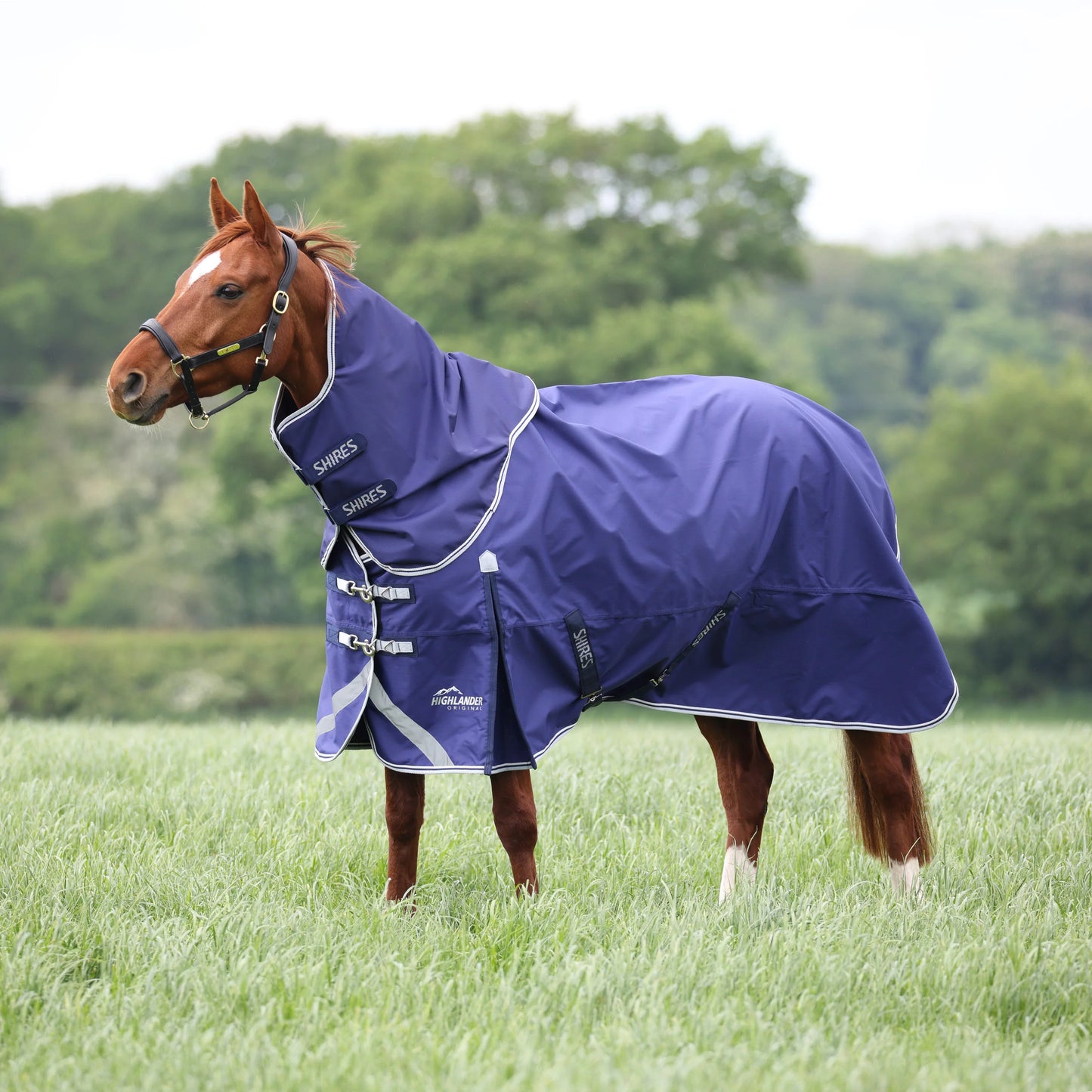 Shires Highlander Original Lite Rug & Neck Set - Navy Turnout Rug
