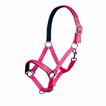 Stars Softice Head Collar With Padded Noseband & Headpiece - Horse Head Collar