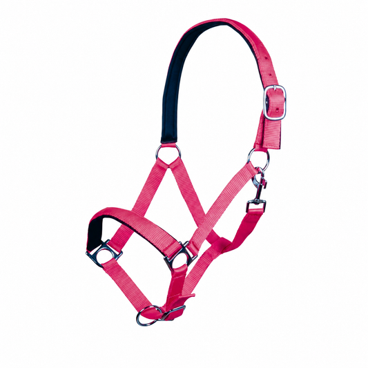 Stars Softice Head Collar With Padded Noseband & Headpiece - Horse Head Collar