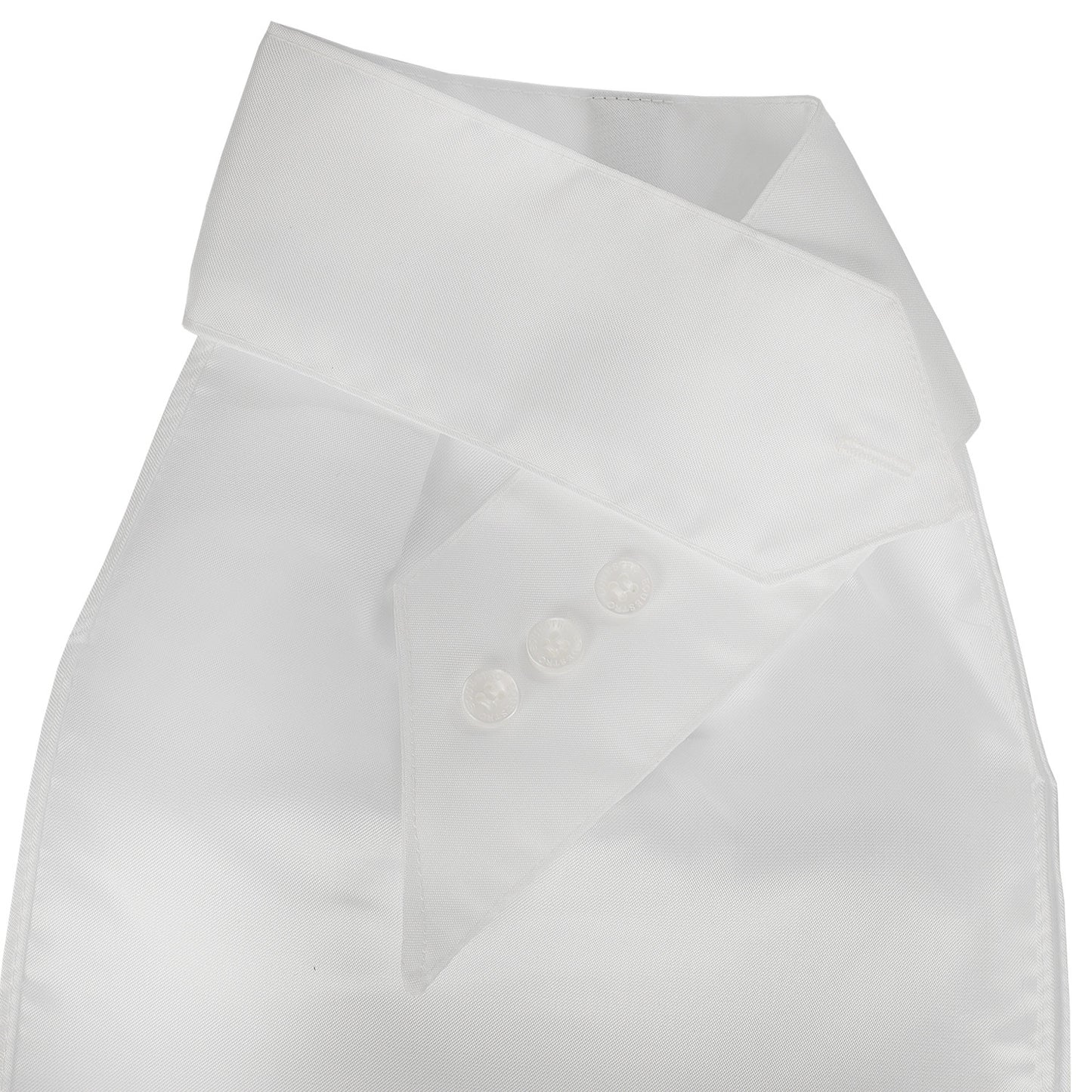 Embroidered Competition Plastron - Riding Show Tie