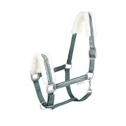 Waldhausen Elegant Horse Halter - Padded Headcollar