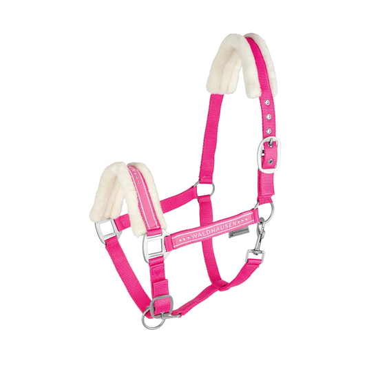 Waldhausen Elegant Horse Halter - Padded Headcollar