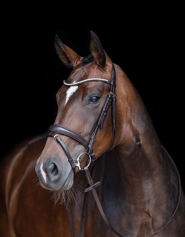 Melinda Bridle - Elegant Leather Horse Bridle