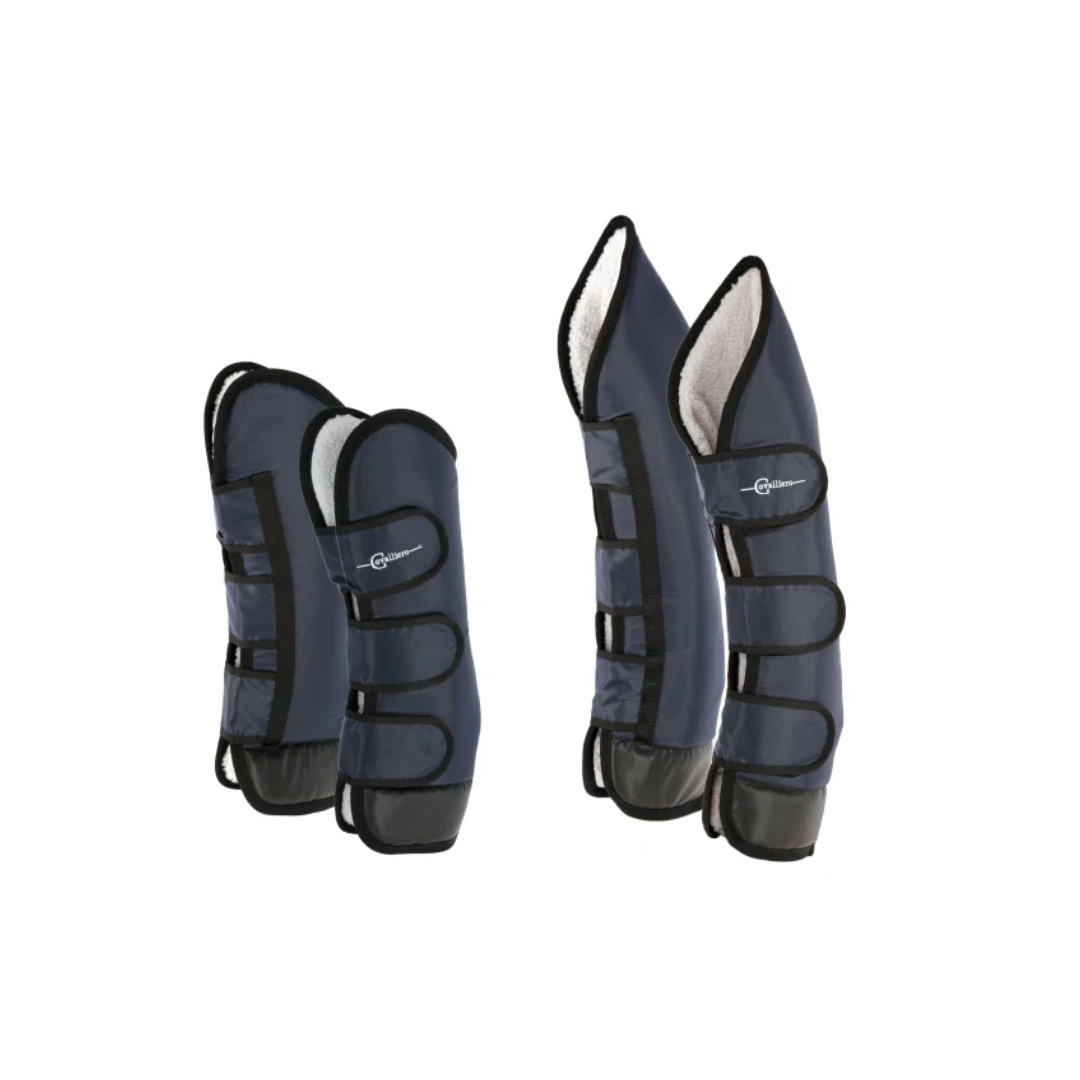 Dexter Horse Transport Gaiters - Full Size, 4-Piece Set