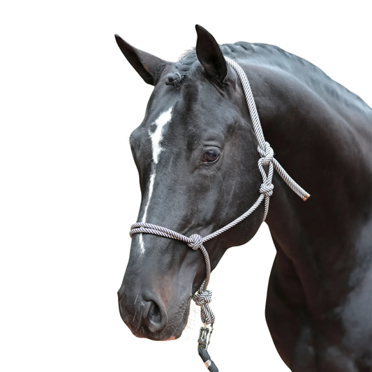 Knotted Horse Halter - Rope Training Headcollar