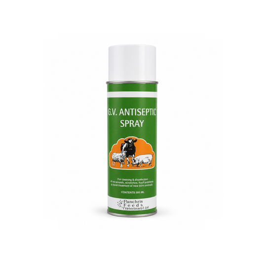 G.V. Antiseptic Spray - 500 ml