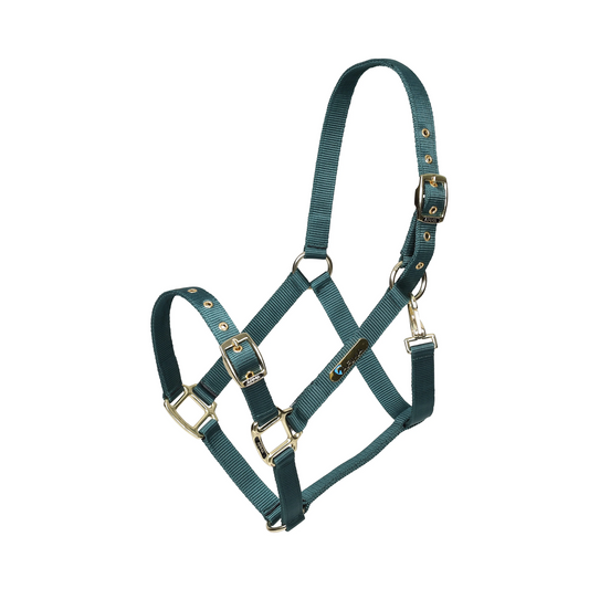 ARMA Adjustable Headcollar - Everyday Horse Halter