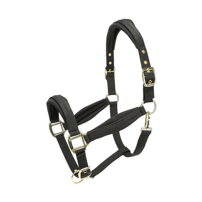 ARMA Padded Headcollar - Soft Padded Horse Headcollar