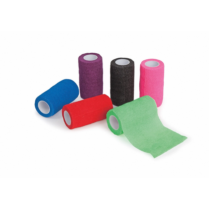 ARMA Cohesive Bandage Wraps - Horse Leg Support