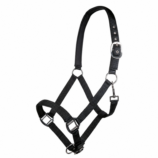 Charming Head Collar with Soft Padding - Horse Headcollar