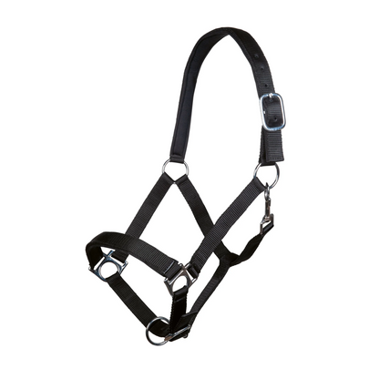 Stars Softice Head Collar with Soft Padding - Horse Head Collar