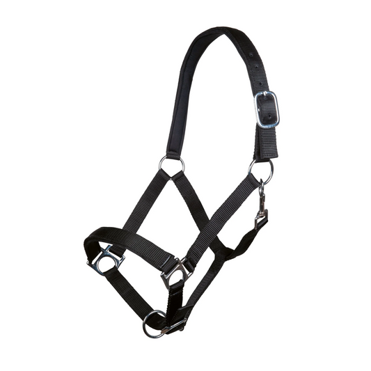 Stars Softice Head Collar with Soft Padding - Horse Head Collar