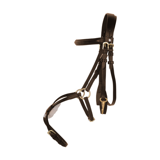 Mexican Style Bridle - Padded Grackle Noseband