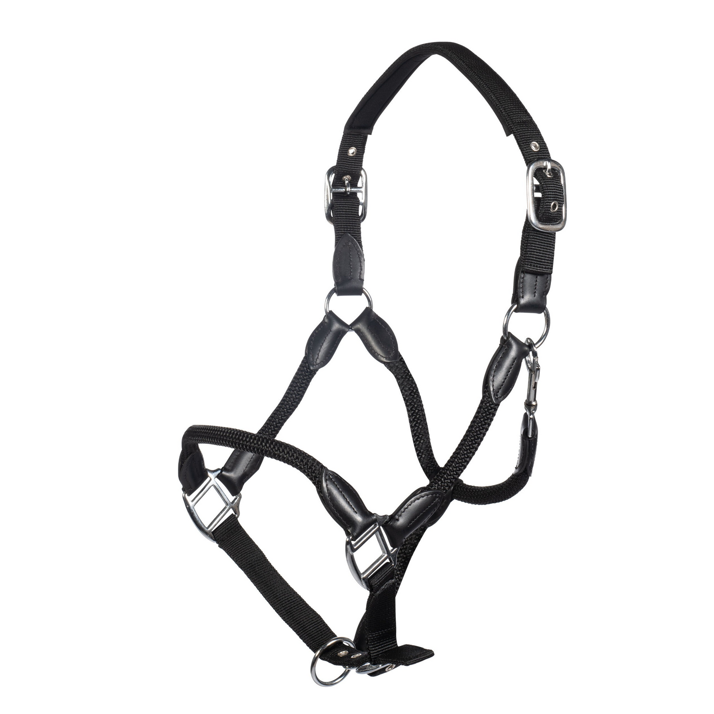 Carlotta Horse Head Collar - Halter for Horses