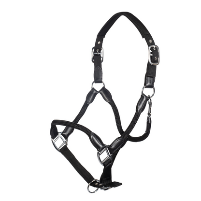 Carlotta Horse Head Collar - Halter for Horses