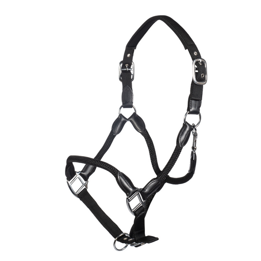 Carlotta Horse Head Collar - Halter for Horses