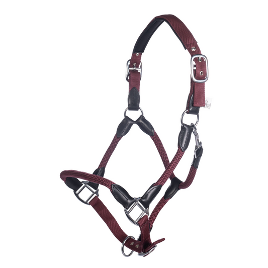 Carlotta Horse Head Collar - Halter for Horses