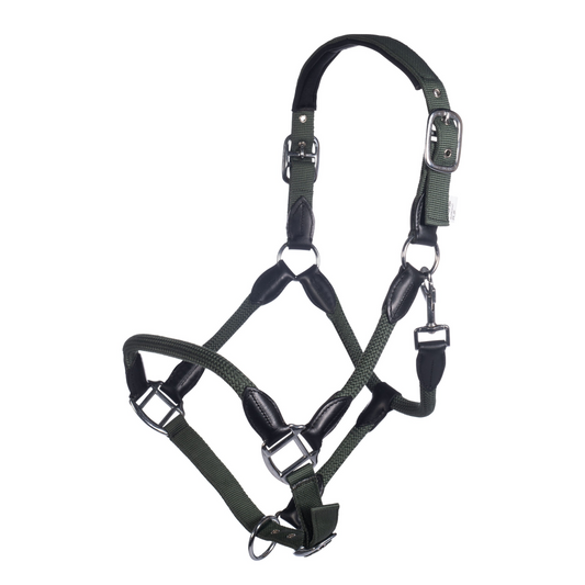 Carlotta Horse Head Collar - Halter for Horses