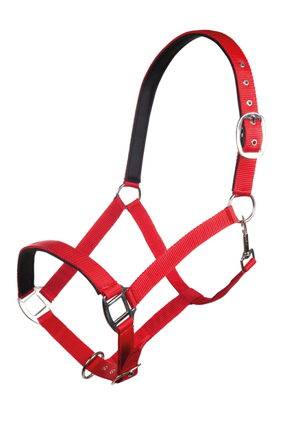 Charming Head Collar with Soft Padding - Horse Headcollar