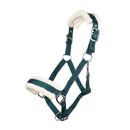 Bischofshofen Head Collar with Plush Padding - Soft Padded Horse Halter