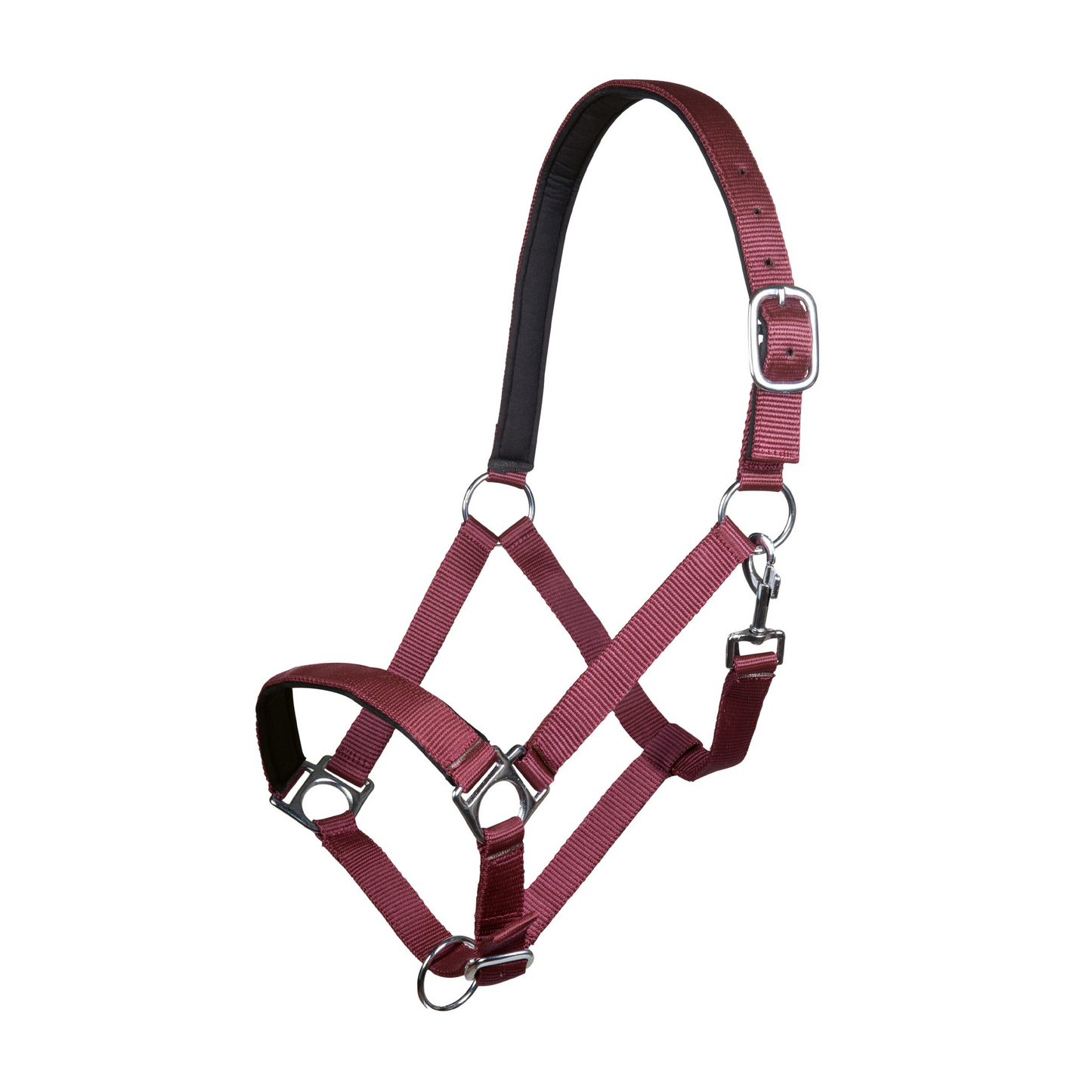 Stars Softice Head Collar with Soft Padding - Horse Head Collar