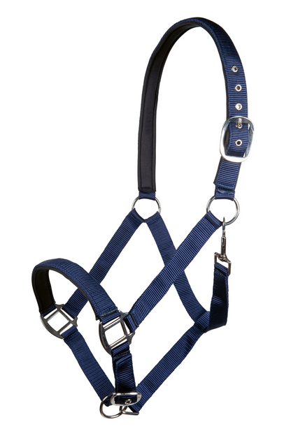 Charming Head Collar with Soft Padding - Horse Headcollar