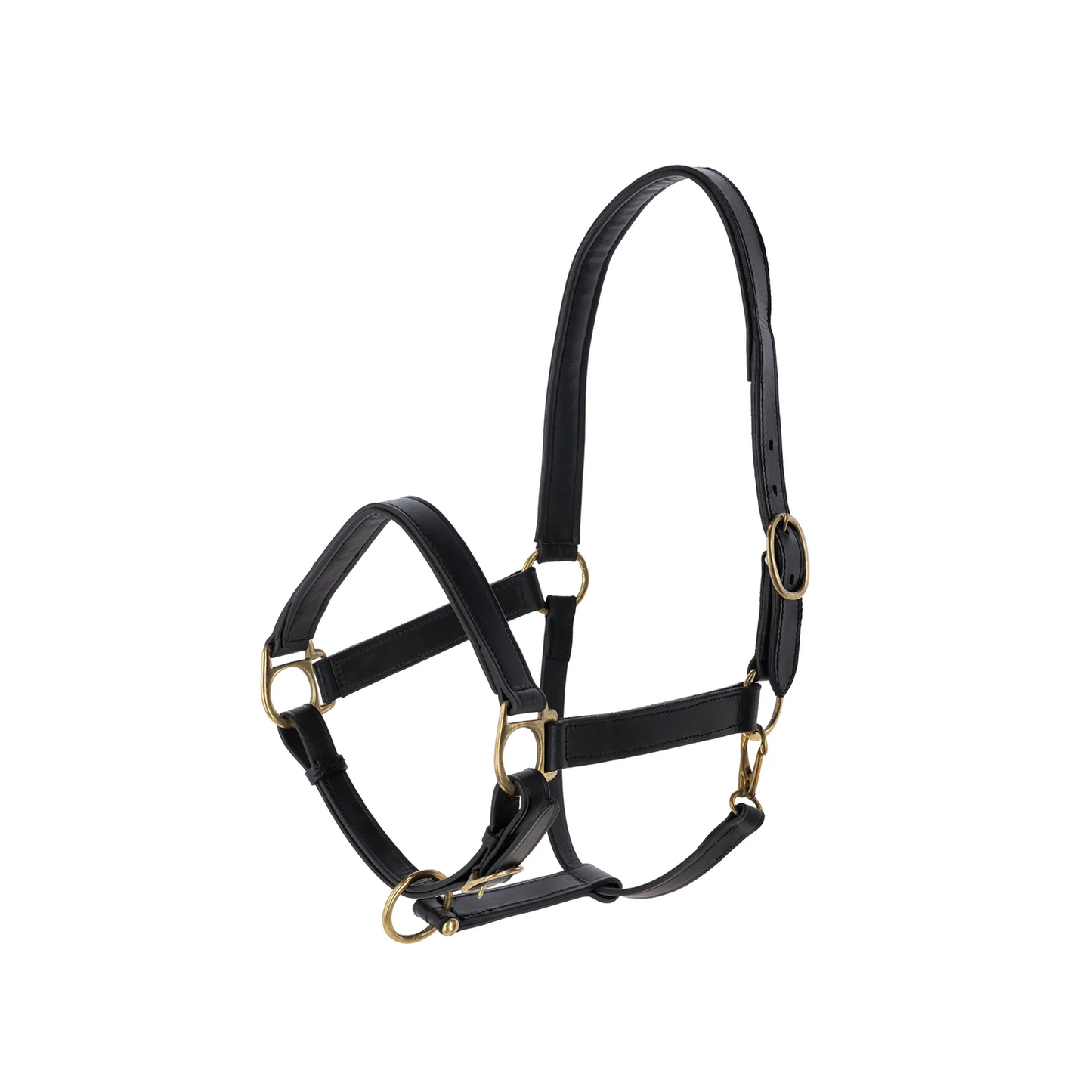 Eco Horse Halter - Adjustable Headcollar