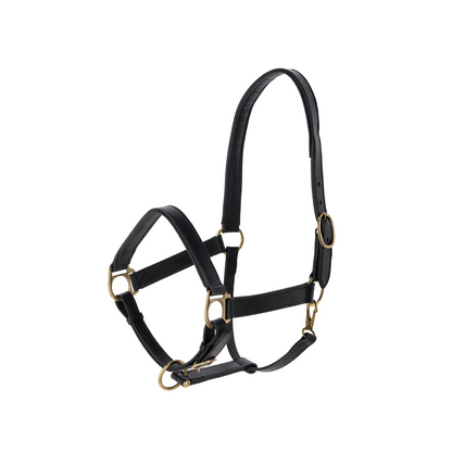 Eco Horse Halter - Adjustable Headcollar
