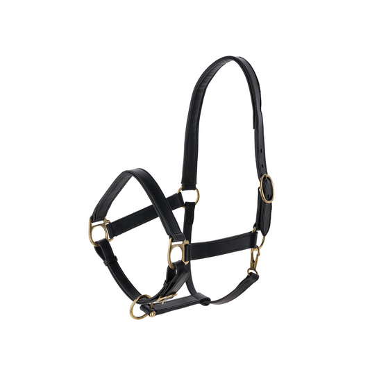 Eco Horse Halter - Adjustable Headcollar