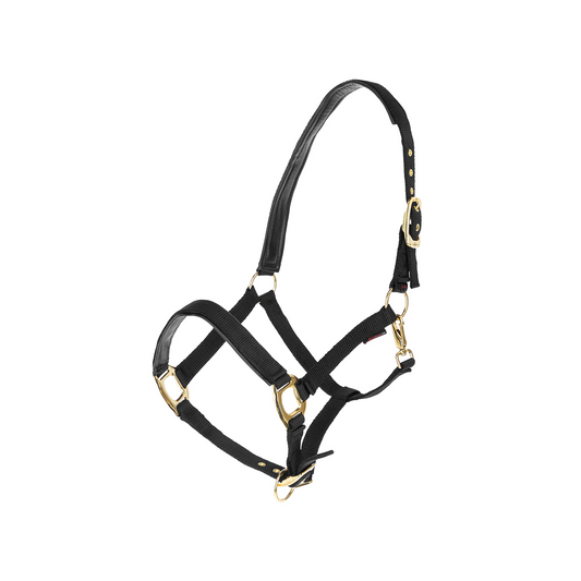TopLine Horse Halter - Adjustable Headcollar