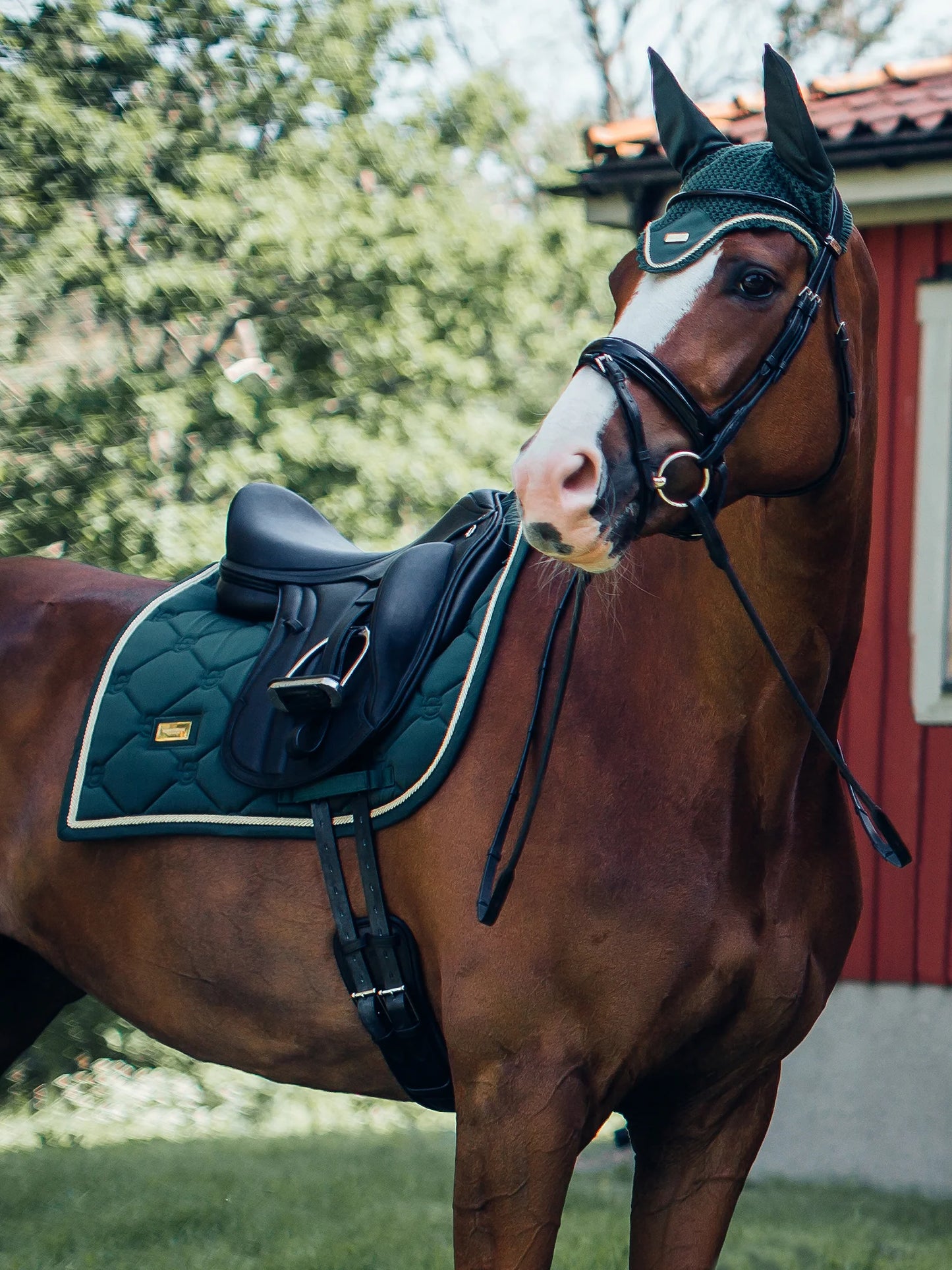 Equestrian Stockholm Dressage Saddle Pad