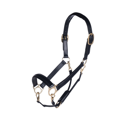 Gold Leather Head Collar - Premium Horse Halter
