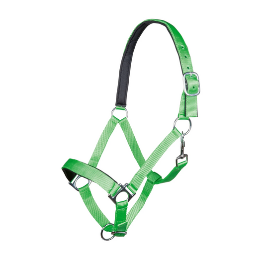 Stars Softice Head Collar with Soft Padding - Horse Head Collar