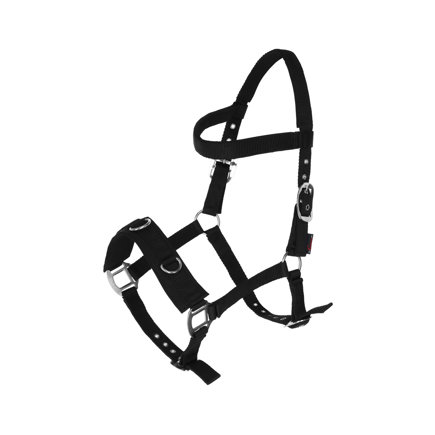 Lunging Halter - Horse Training Halter