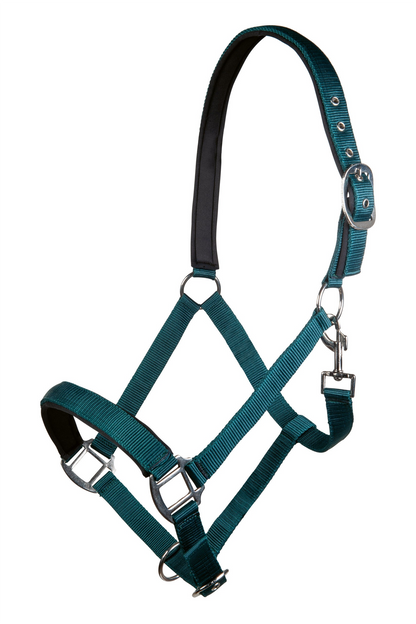 Charming Head Collar with Soft Padding - Horse Headcollar