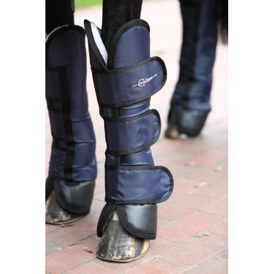 Dexter Horse Transport Gaiters - Full Size, 4-Piece Set