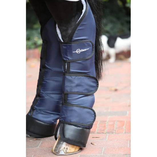 Dexter Horse Transport Gaiters - Full Size, 4-Piece Set