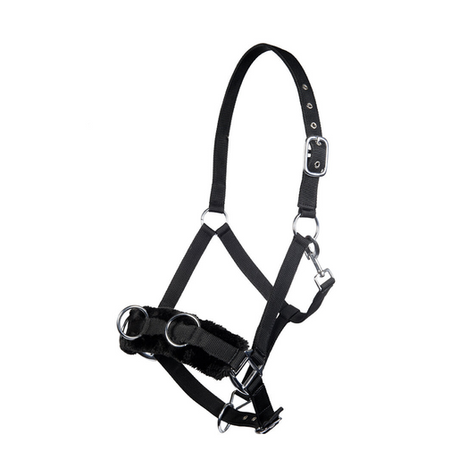 Lunge Cavesson with Plush Padding Full - Padded Horse Training Cavesson