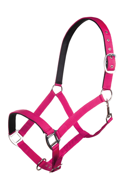 Charming Head Collar with Soft Padding - Horse Headcollar