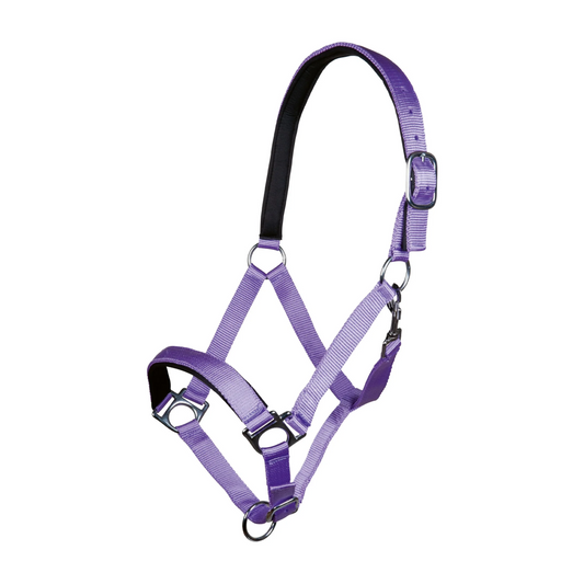 Stars Softice Head Collar with Soft Padding - Horse Head Collar