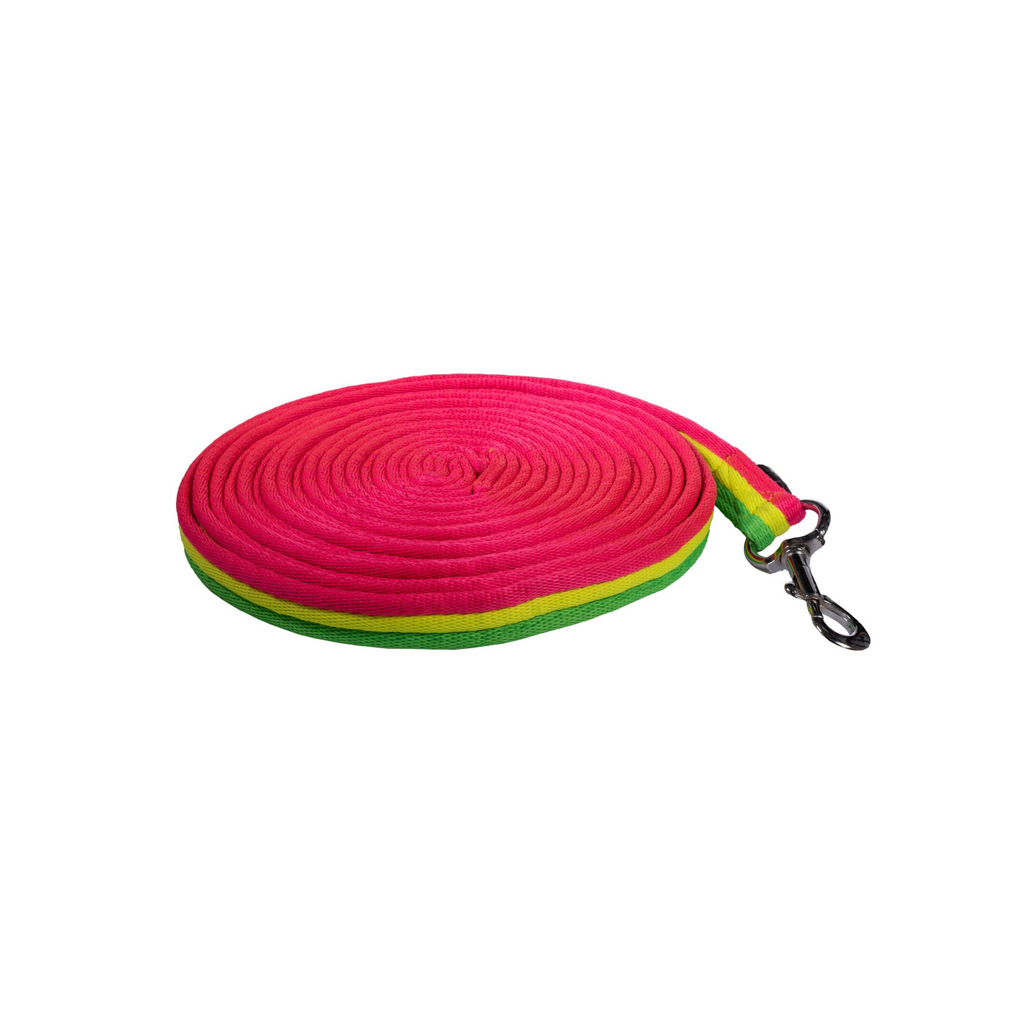 Rainbow Lunge Line - Colourful Horse Lunging Rein
