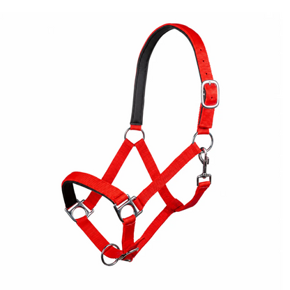 Stars Softice Head Collar with Soft Padding - Horse Head Collar