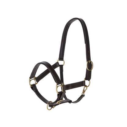 Eco Horse Halter - Adjustable Headcollar